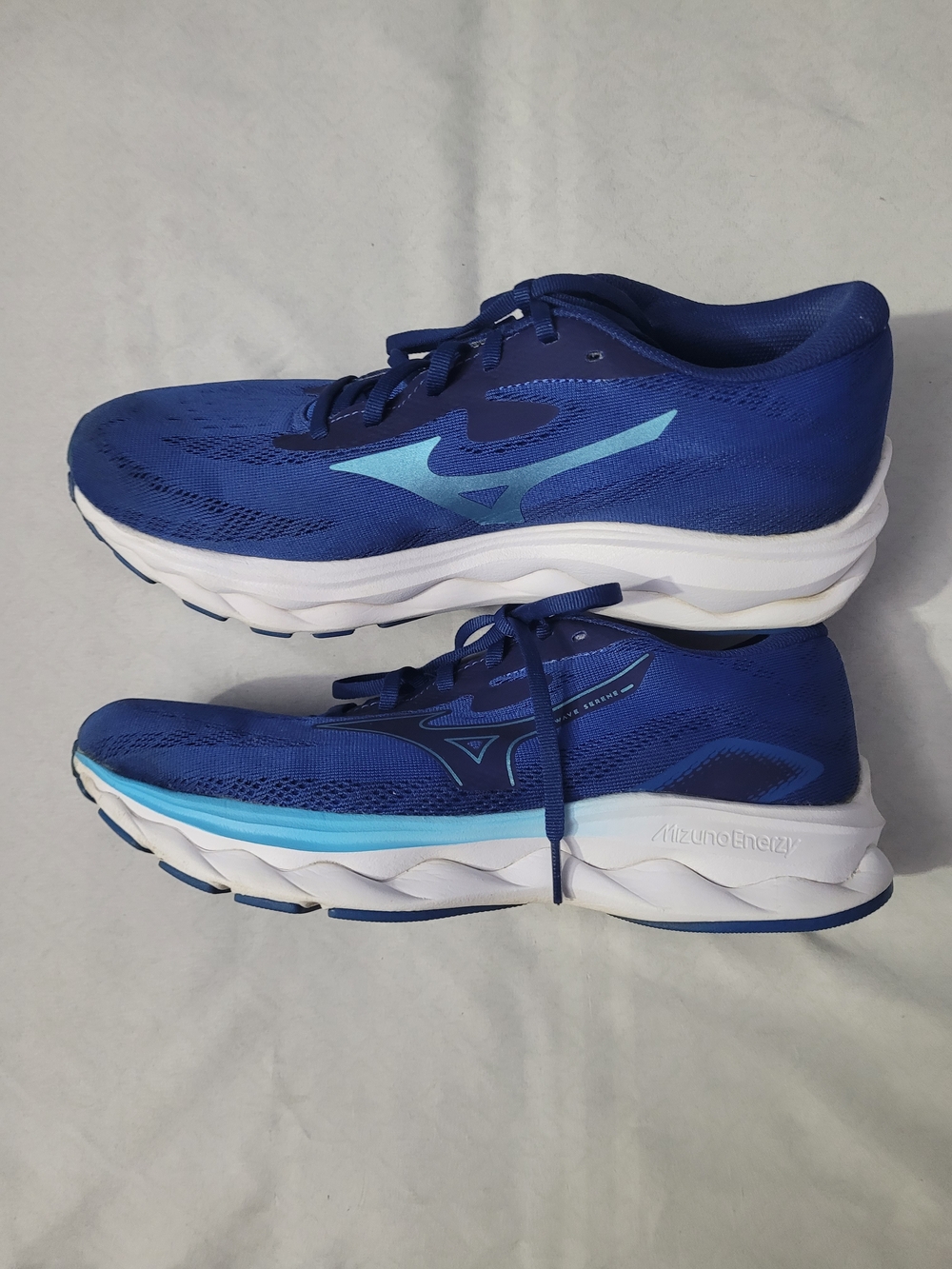 Mizuno Men's Wave Rider Running Shoes - Blue